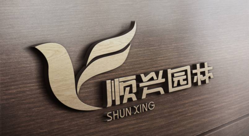 郾城区VI设计：城市品牌蝶变的核心引擎